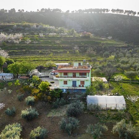 Vila Dean Берат Экстерьер фото